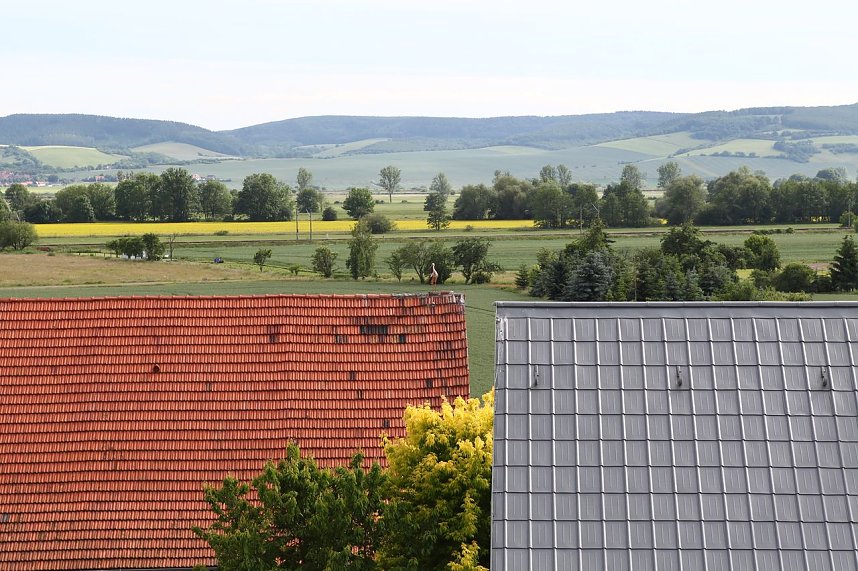 Jungst&ouml;rche werden beringt