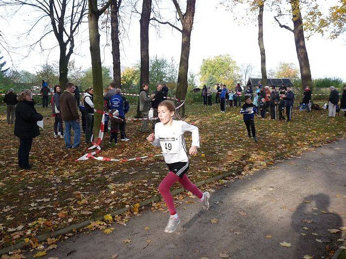 15. Stadtparklauf Sondershausen