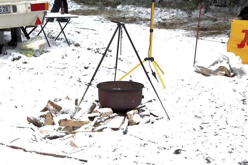 Schlittenhunderennen in Benneckenstein