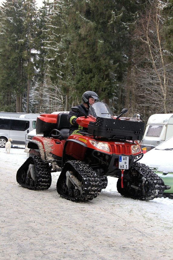 Schlittenhunderennen in Benneckenstein