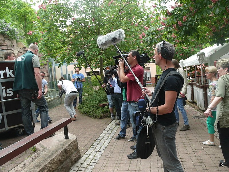 B&auml;rin Conny zieht nach Worbis