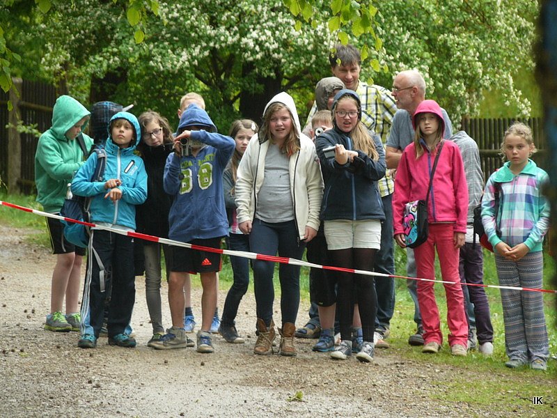 B&auml;rin Conny zieht nach Worbis