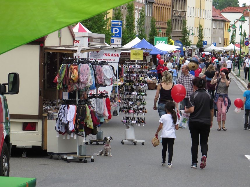 Th&uuml;ringentag 2015