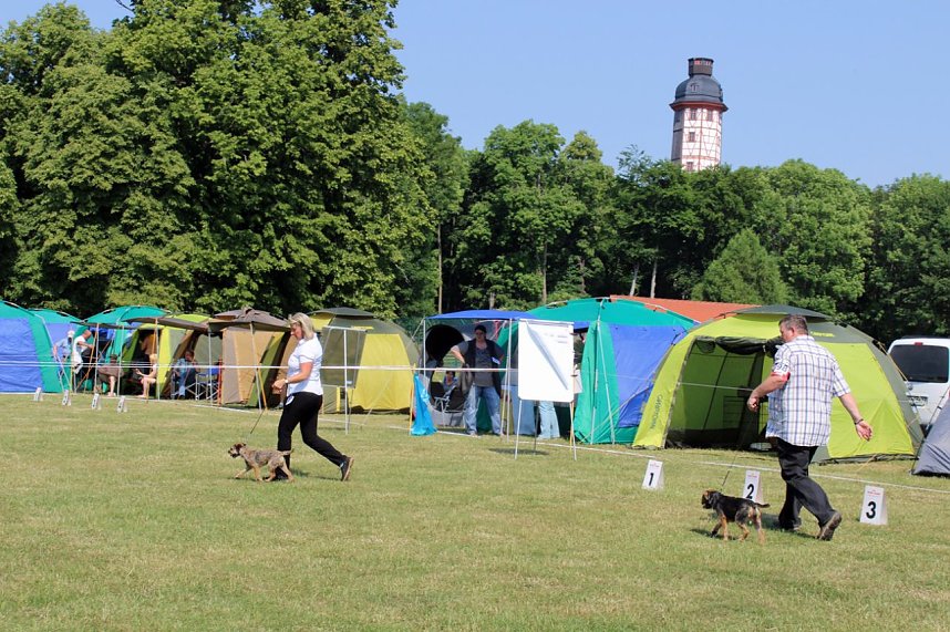 Auf dem Possen bellt es