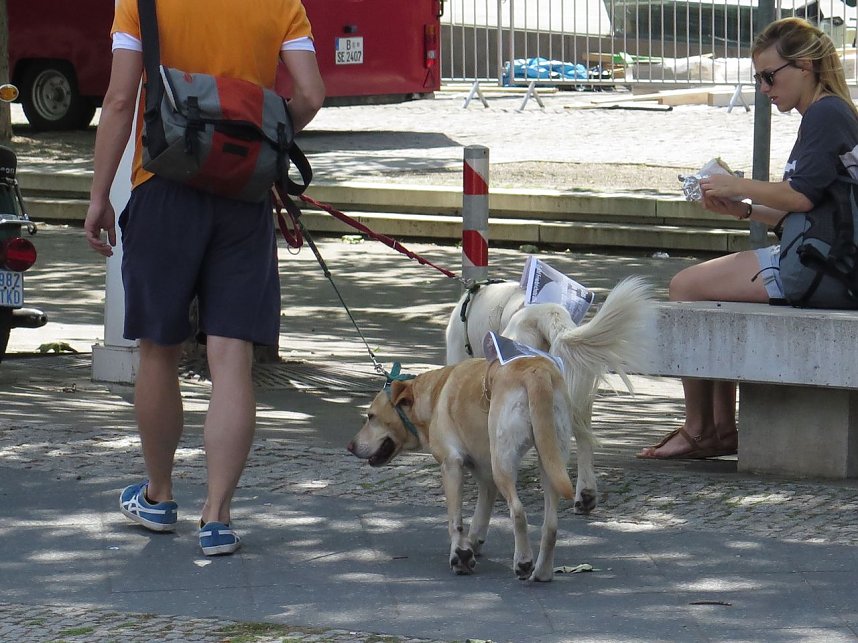 Demo in Berlin f&uuml;r die Pressefreiheit