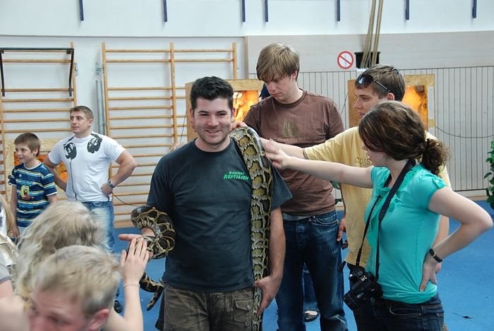 Welt der Reptilien in der Wiedingsburghalle