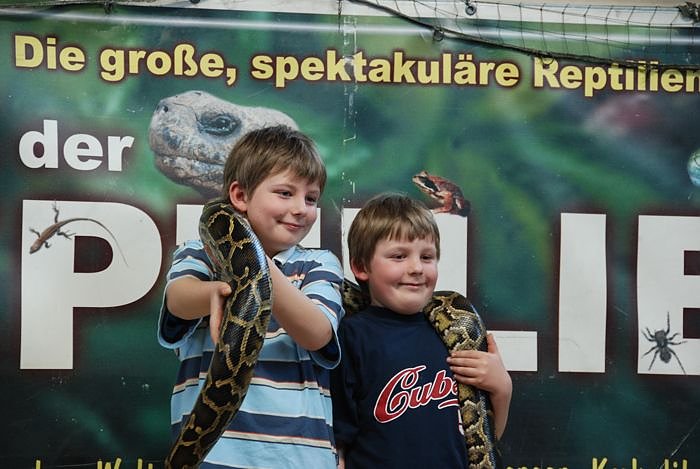 Welt der Reptilien in der Wiedingsburghalle
