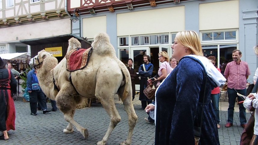 Mittelalterfest in Bad Langensalza