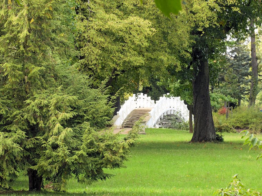 Der W&ouml;rlitzer Park