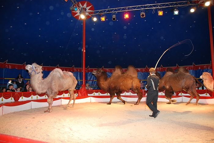 Circus Rolina gastiert in Nordhausen 
