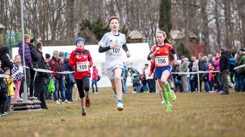Anmelderekord beim Possenlauf