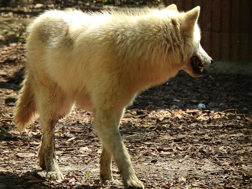 Peter Blei unterwegs in K&ouml;then