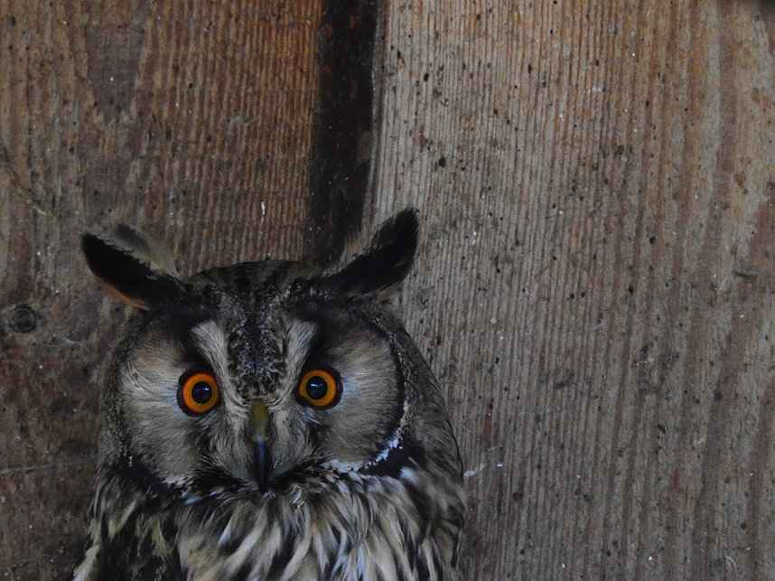 Peter Blei unterwegs in K&ouml;then