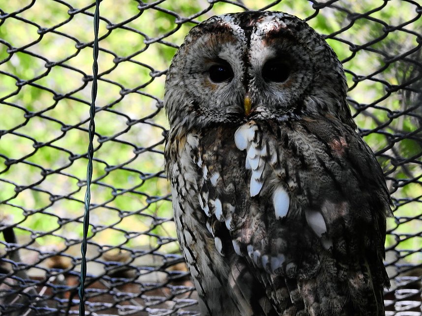 Peter Blei unterwegs in K&ouml;then