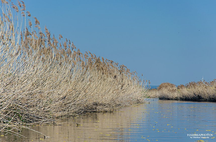 Auf der Unstrut unterwegs