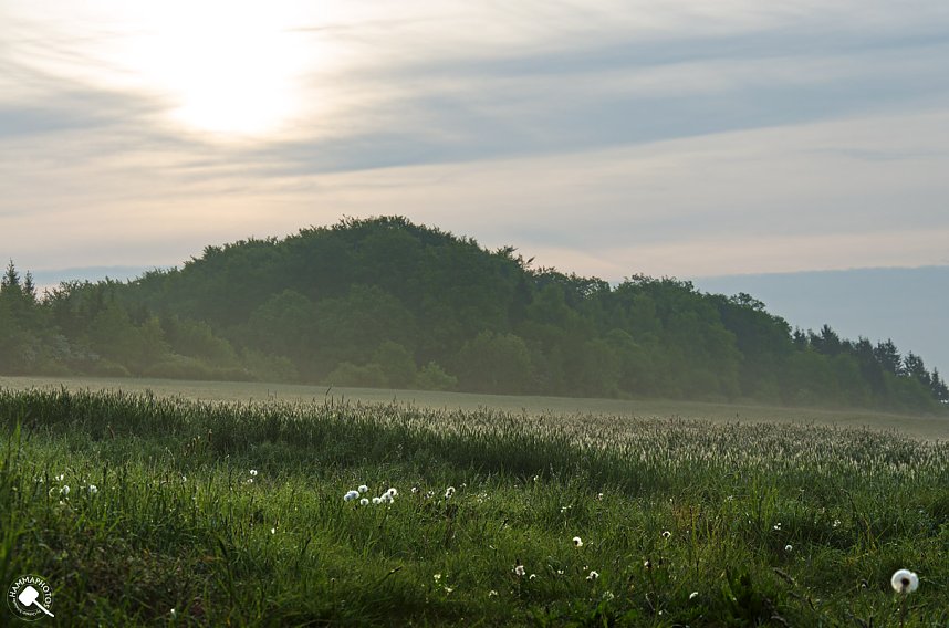 Wanderung im Morgengrauen