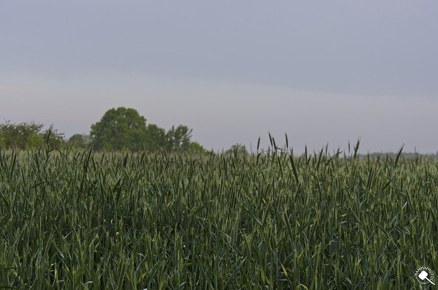 Wanderung im Morgengrauen