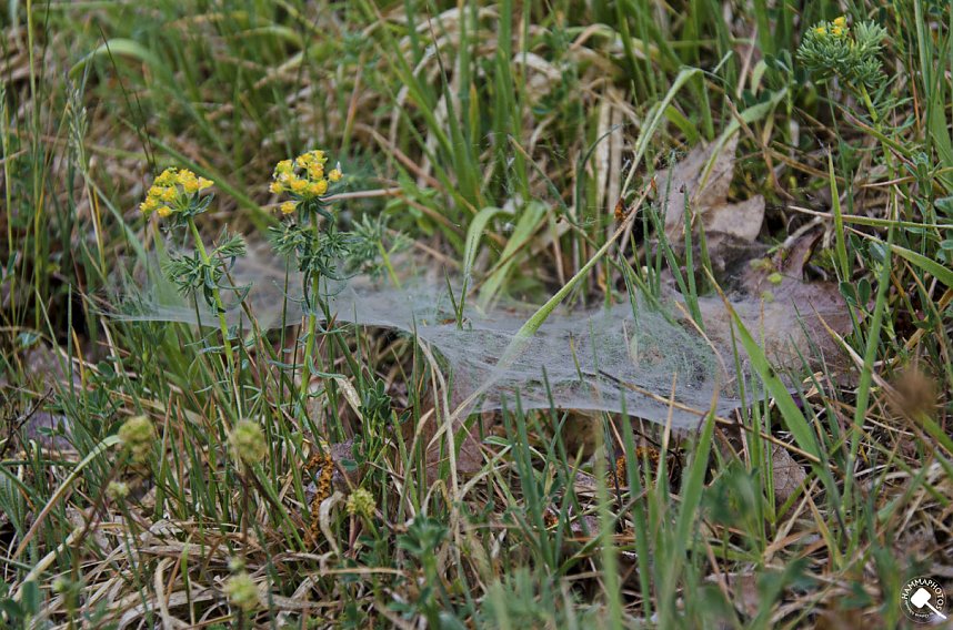 Wanderung im Morgengrauen