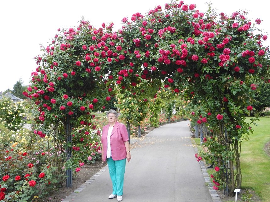 Besuch im Rosengarten in Bad Langensalza