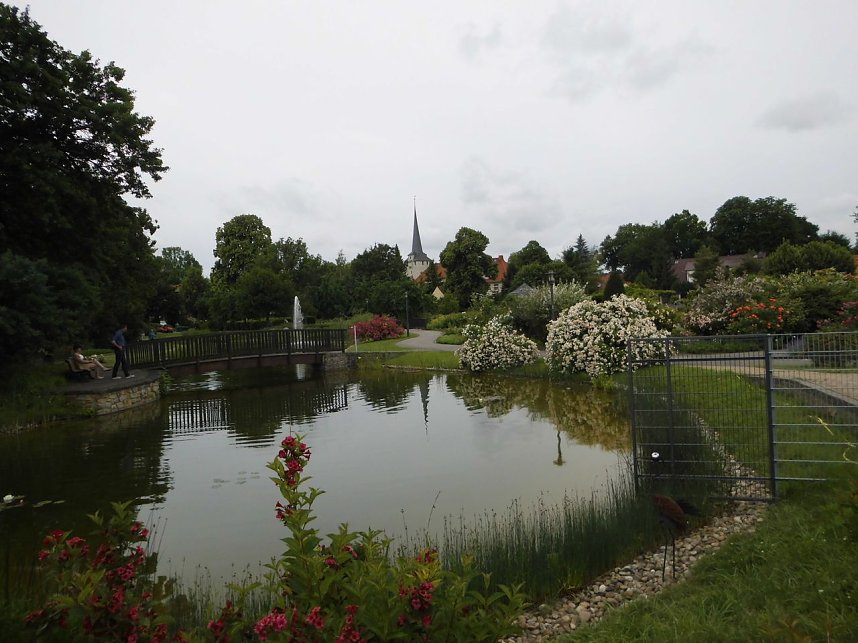 Besuch im Rosengarten in Bad Langensalza