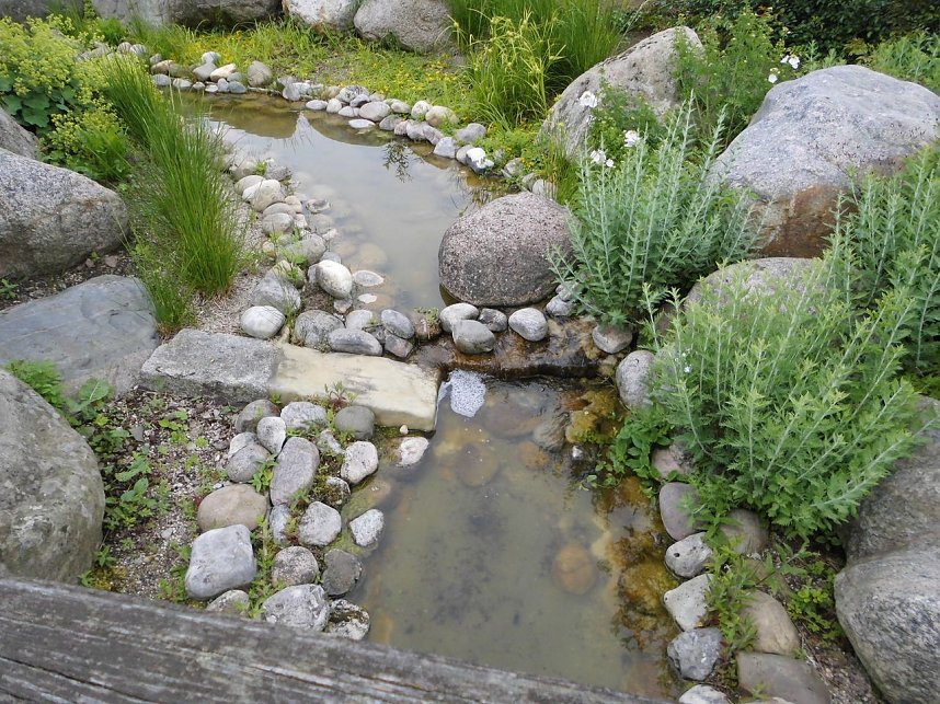 Besuch im Rosengarten in Bad Langensalza