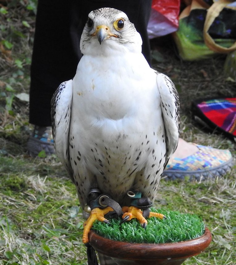 Barockes Gartenfest im Labyrinth