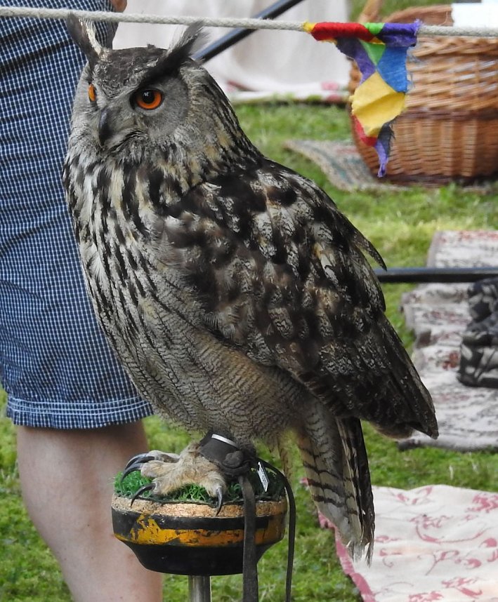 Barockes Gartenfest im Labyrinth