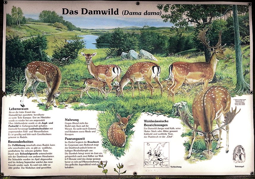 Peter Blei unterwegs - diesmal in der freien Natur und im Jugendwaldheim Rathsfeld