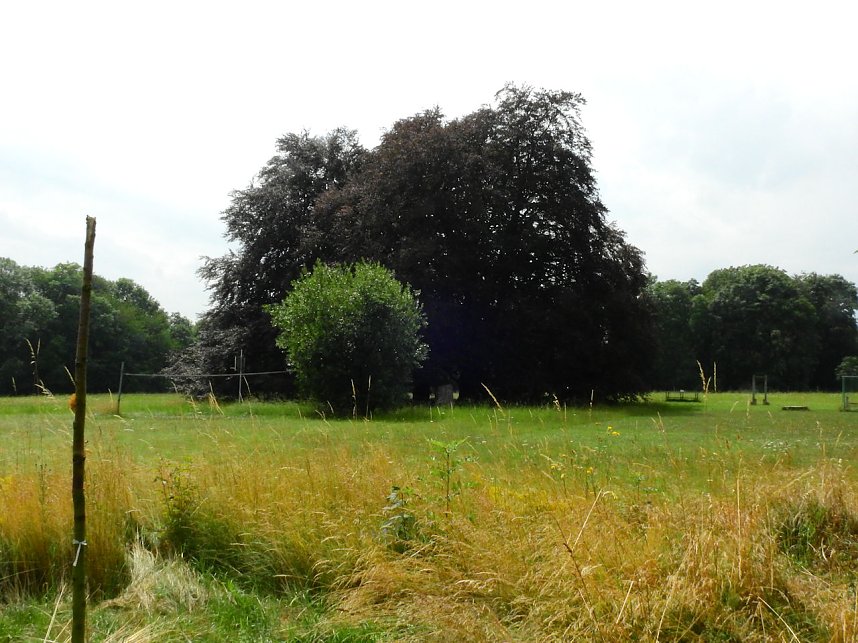 Peter Blei unterwegs - diesmal in der freien Natur und im Jugendwaldheim Rathsfeld