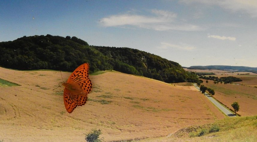 Peter Blei unterwegs - diesmal in der freien Natur und im Jugendwaldheim Rathsfeld