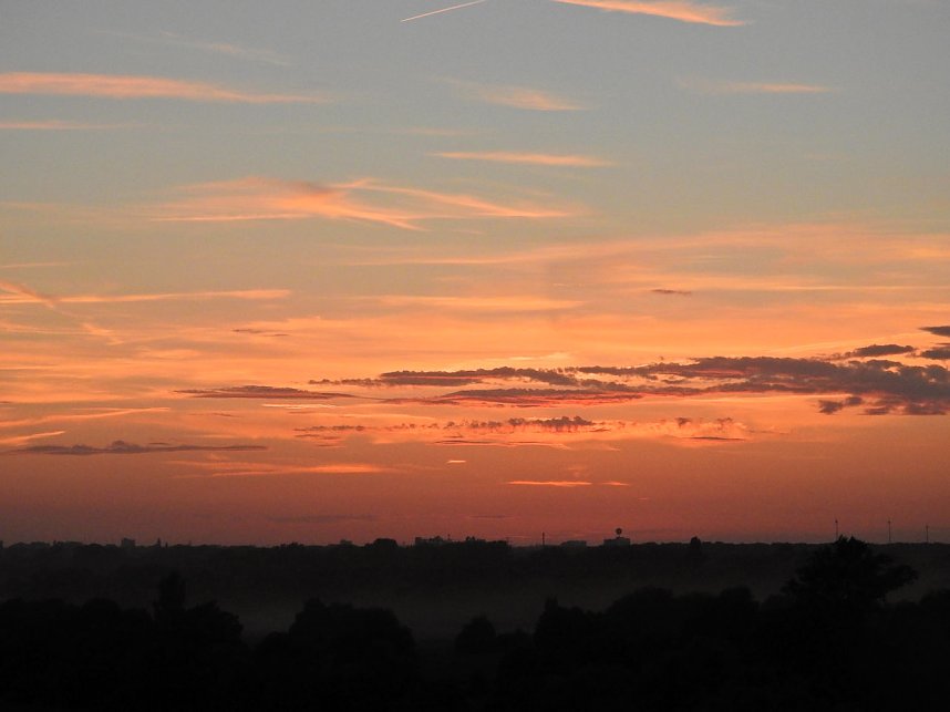 Spinnen im Mondschein am Goitzsche See