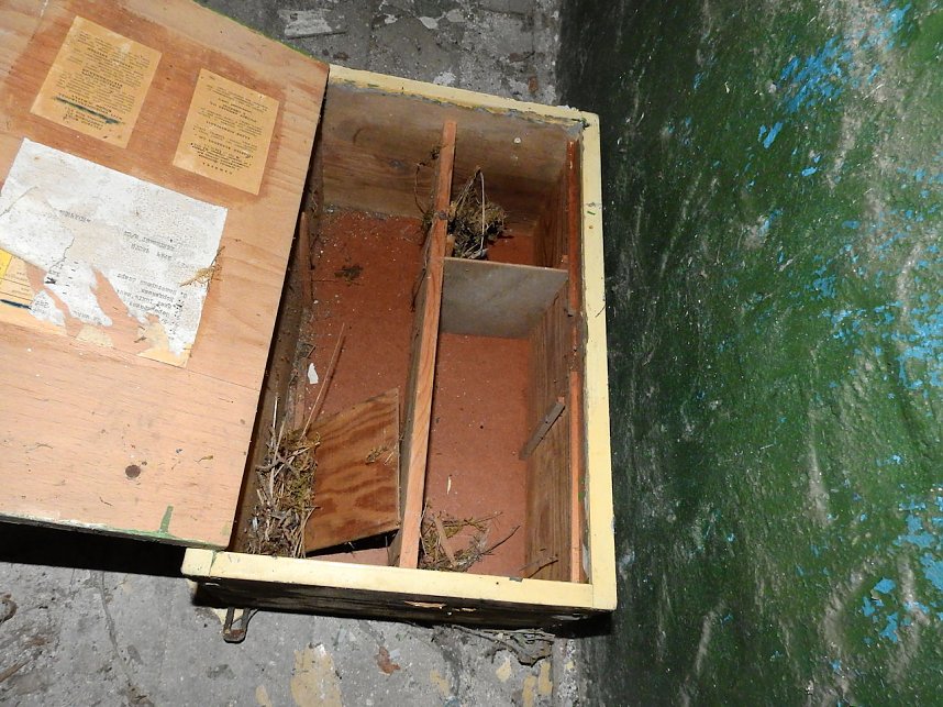 Unwirkliche Orte: Munitionsfabrik Kapen