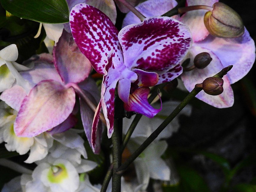 25 Jahre Keramikscheune Spickendorf