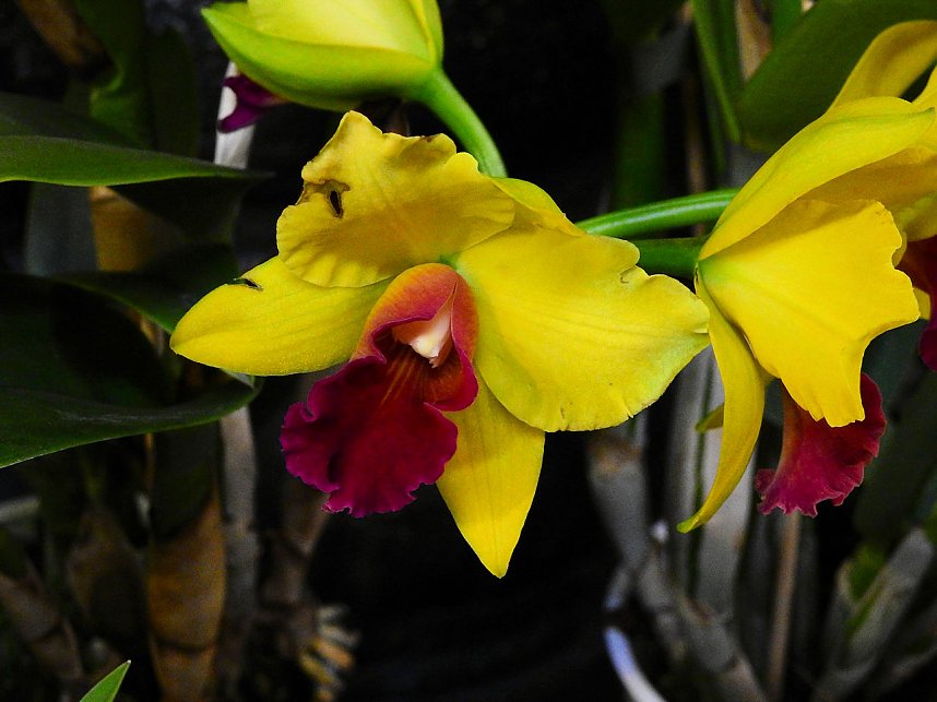 25 Jahre Keramikscheune Spickendorf