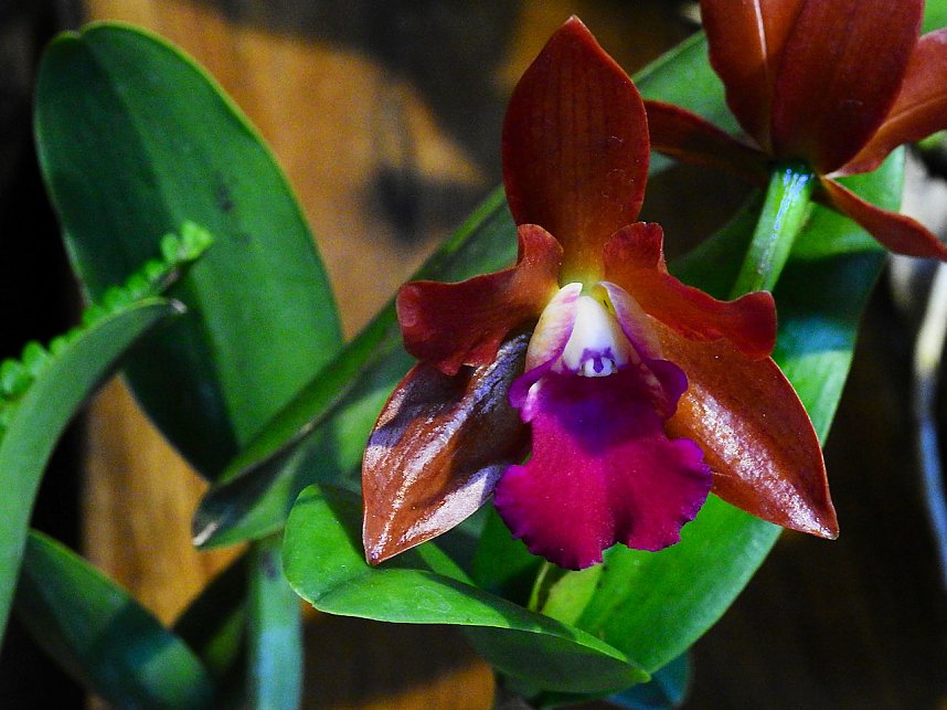 25 Jahre Keramikscheune Spickendorf