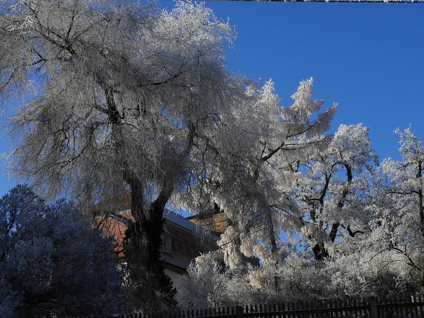 Ein Traum in Wei&szlig;