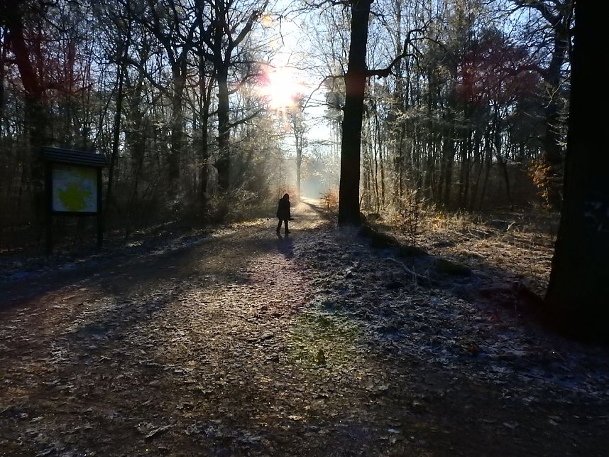 Ein Traum in Wei&szlig;