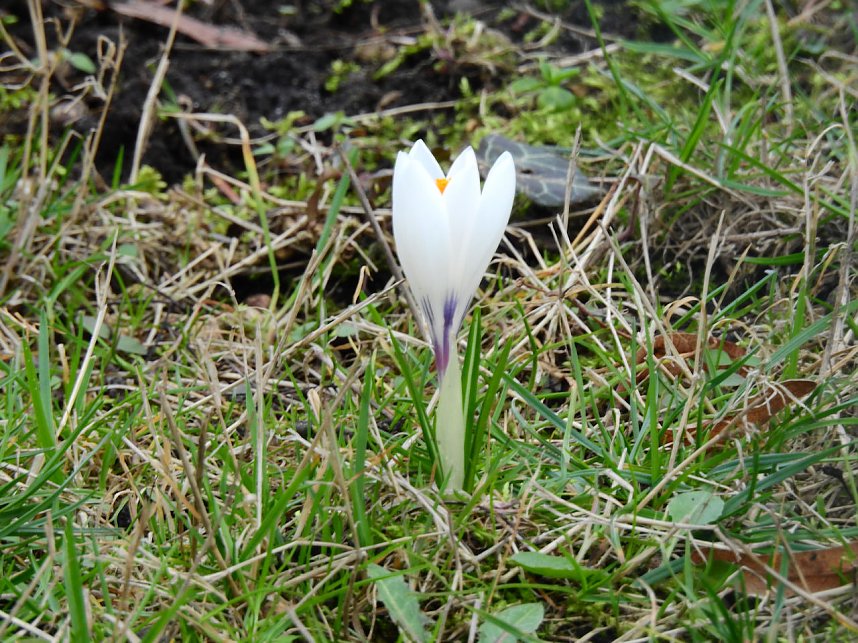 Spuren des Fr&uuml;hlings