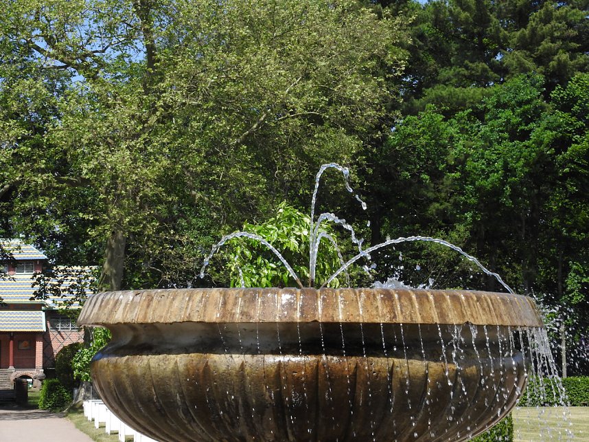Lustwandeln im Park von Oranienbaum
