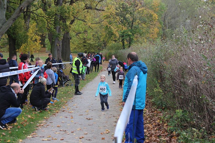 24. Stadtparklauf in Sondershausen (1)
