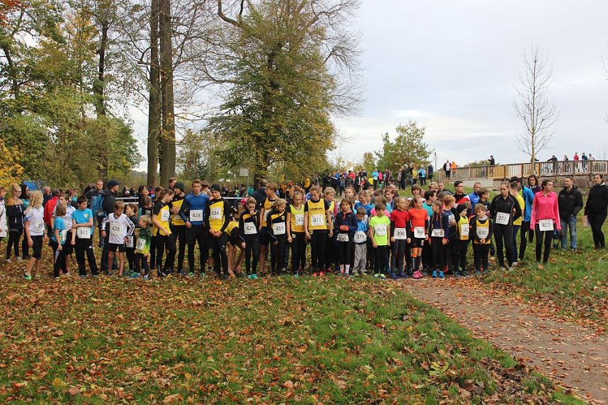 24. Stadtparklauf in Sondershausen (1)