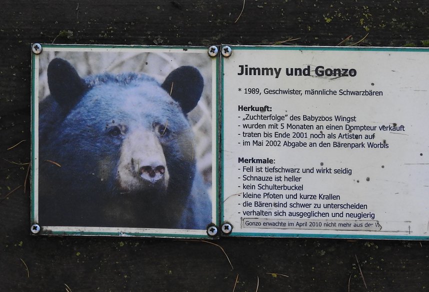 Peter Blei im B&auml;renpark Worbis