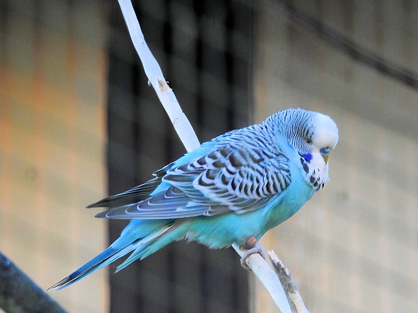 Peter Blei im B&auml;renpark Worbis