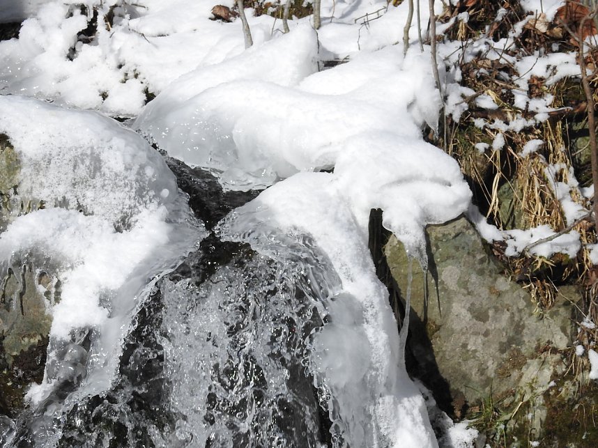 Peter Blei unterwegs im Harz