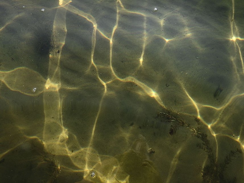 Lichtspiele am Seelhausener See