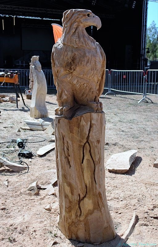 Emmenrausch am Stausee Kelbra