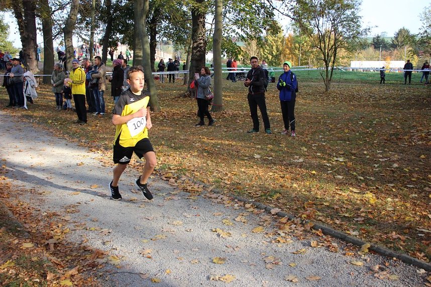 Stadtparklauf in Sondershausen (2)