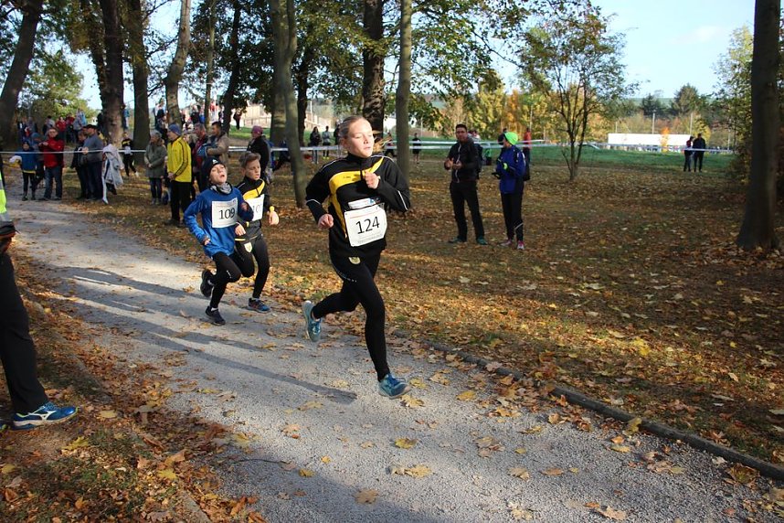 Stadtparklauf in Sondershausen (2)