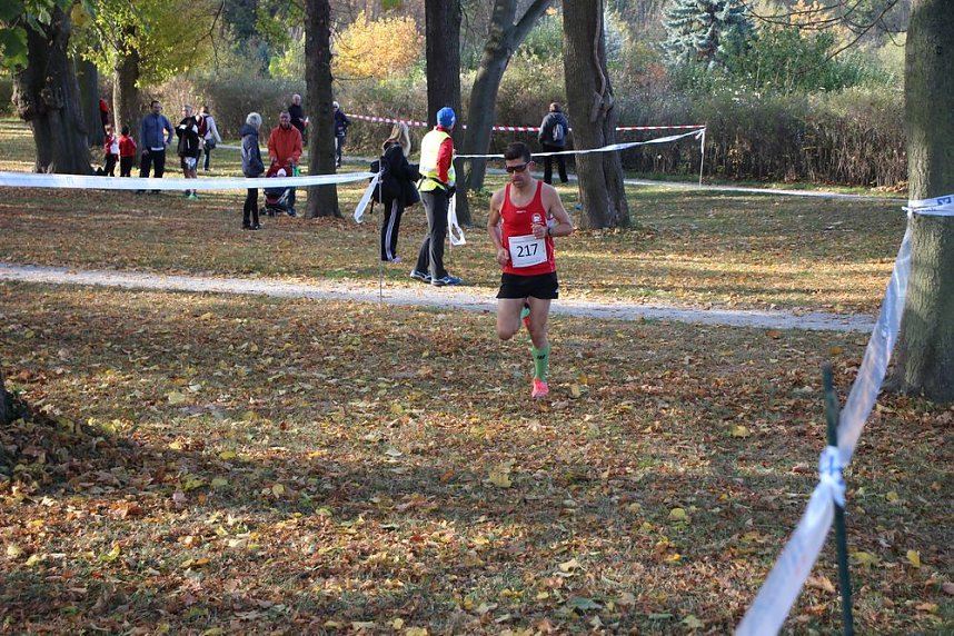 Stadtparklauf in Sondershausen (2)