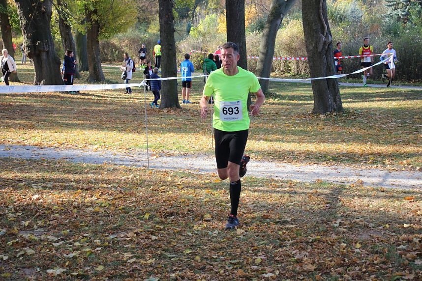 Stadtparklauf in Sondershausen (2)